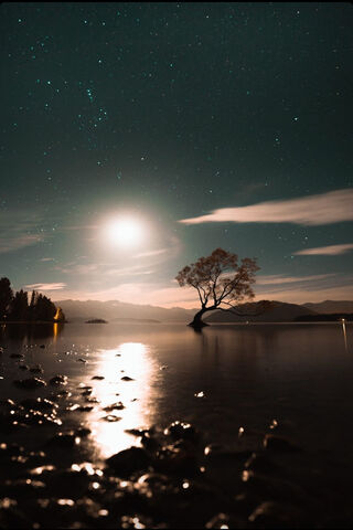 Moonlit Serenity: A Journey Through Nature 🌙✨