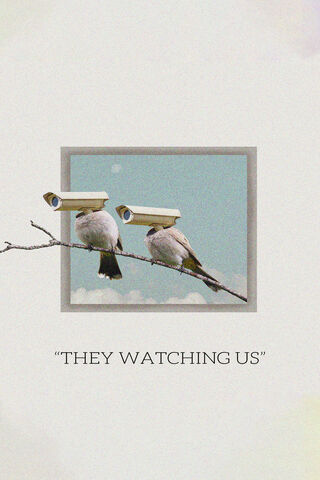 They Watching Us