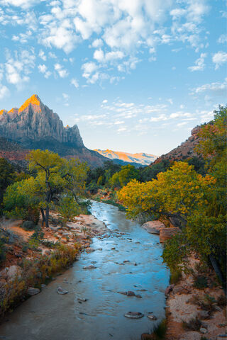 Serenity at Tree Lake 🌳💧