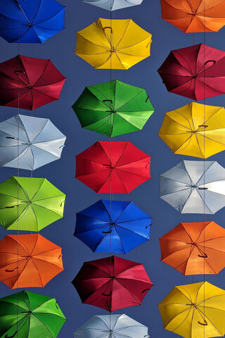 Colorful Canopy: A Playful Umbrella Display ☂️🌈