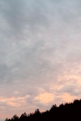 Dreamy Twilight Vibes 🌅✨