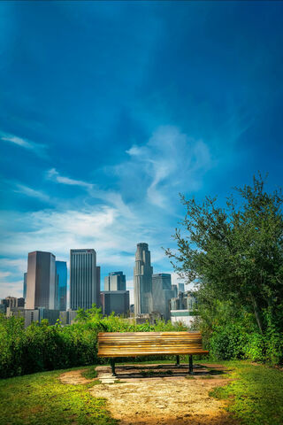 City Serenity: A Moment on The Bench 🌆🌳