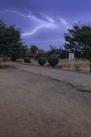 Nature's Electric Dance ⚡🌩️