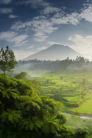 Serenity in Nature's Embrace 🌿🏞️