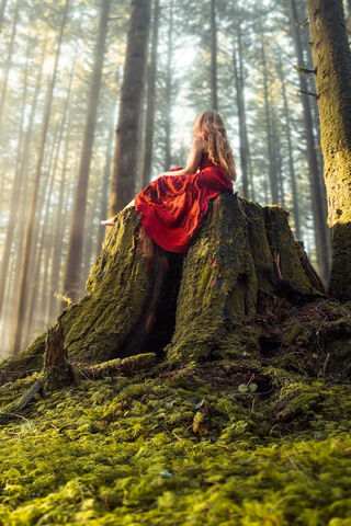 Whispers of the Forest 🌲✨