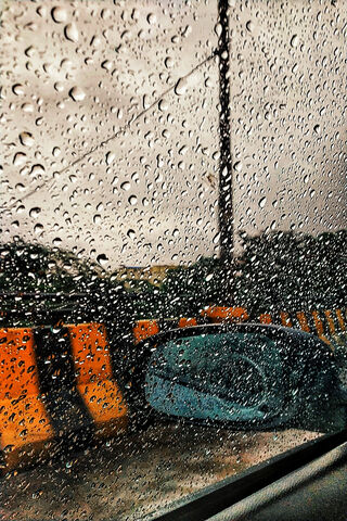 Nature's Tiny Jewels: A Rainy Day Reflection 🌧️💧