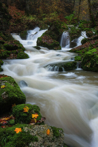 Nature's Gentle Symphony: The Dance of Waterfalls 🌊🍂