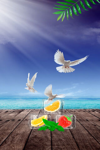 Serenity by the Shore: Doves in Paradise