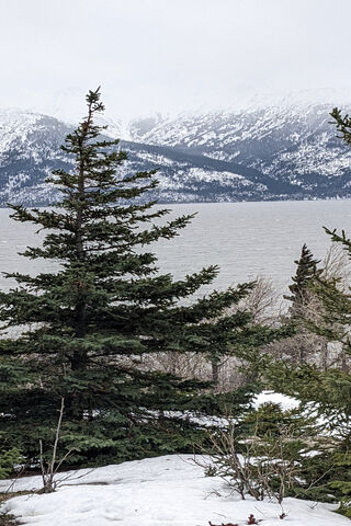 Majestic Winter Peaks: A Serene Escape