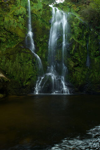 Nature's Cascading Symphony 🌊🍃