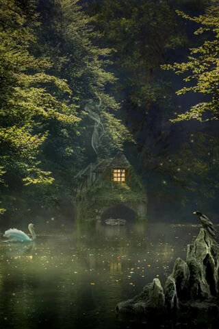 Enchanted Serenity: The White Swan's Haven 🦢✨