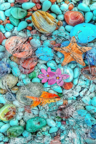 Aquatic Serenity: A Splash of Color 🌊✨