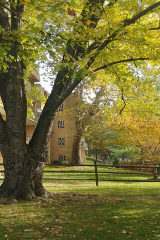 Golden Leaves and Cozy Vibes 🍂🏡