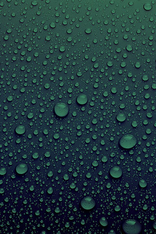 Nature's Jewels: A Dance of Water Drops 💧✨