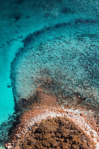 Serenity of Aqua Dreams 🌊✨