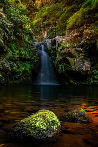Nature's Serenity: The Hidden Waterfall