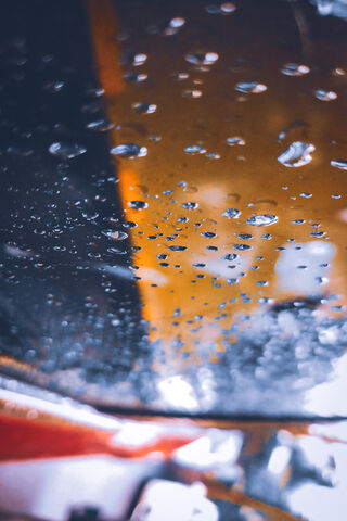 Glistening Reflections: Nature's Artistry