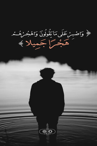 Reflections of Beauty: The Xr8 M7 Journey