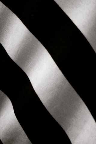 Stripes of Elegance: The Zebra Flag