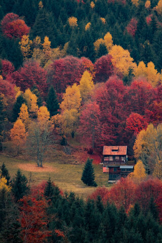 Autumn's Embrace 🍂🏡