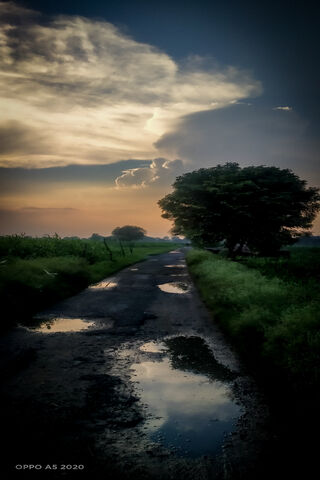 Whispers of Serenity After the Storm 🌧️✨