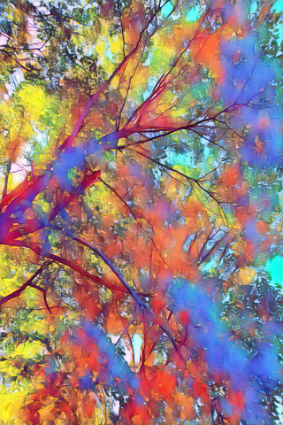 Vibrant Fall Symphony 🍂🎨