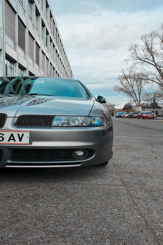 Urban Elegance: A Simple Flower in Motion 🌼🚗