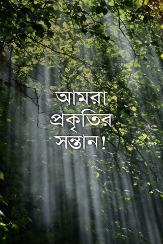 Embracing the Serenity of Bengali Nature 🌿✨