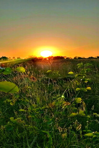 Sunrise Serenity 🌅