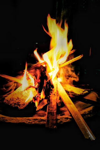 Embers of Connection: The Heart of the Bonfire 🔥