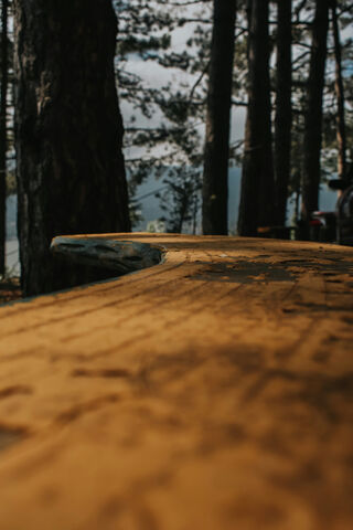 Nature's Tranquil Retreat 🌲✨