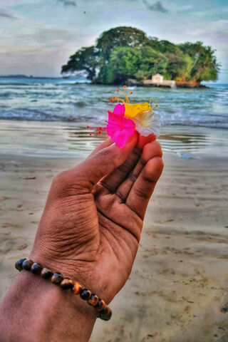 Tropical Serenity 🌺🌊