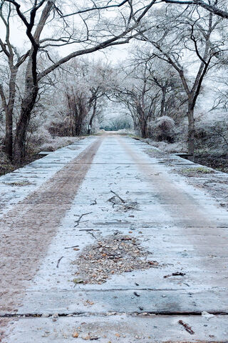 Frosty Journey: The Cold Path Ahead ❄️🚶