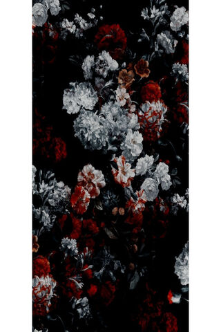 Cicek: A Floral Symphony in Darkness 🌸🌑
