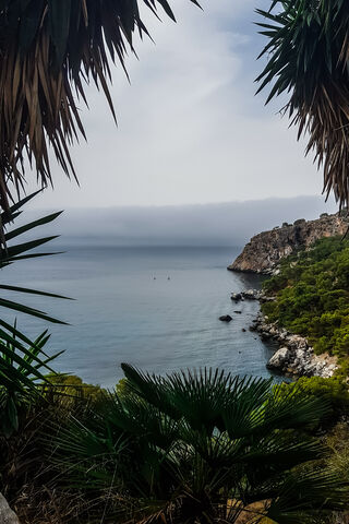 Tranquil Shores: A Serene Escape 🌊🌿