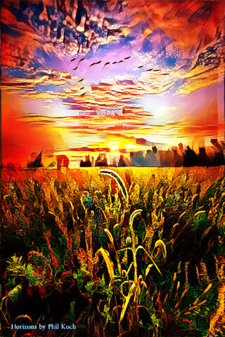 Golden Horizons: A Sunset Symphony 🌅🌾