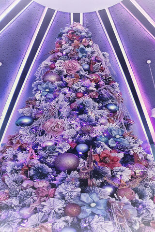 Enchanting Holiday Splendor 🎄✨