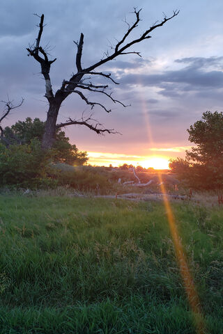 Twilight Serenity: A Colorado Evening