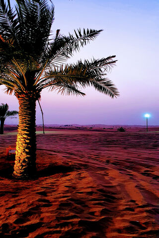Sunset Serenity in the ..