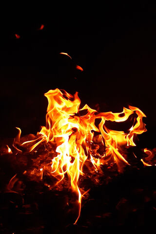 Dance of the Flames: Fuego Unleashed 🔥