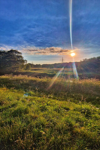 Golden Glow of Summer Fields 🌅✨