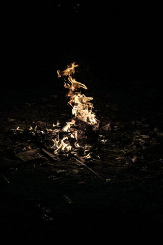 Dancing Flames: The Heart of Fire 🔥