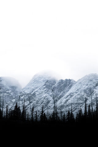 Enchanted Peaks: A Misty Mountain Escape 🌫️🏔️