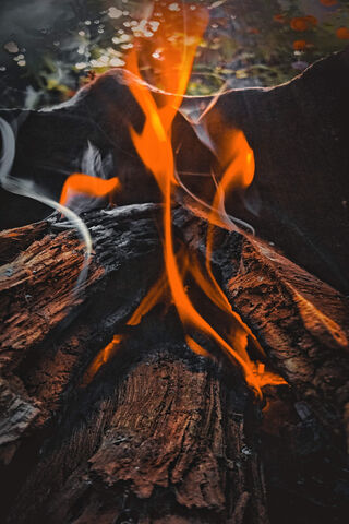 Embers of Warmth: The Heart of Firewood