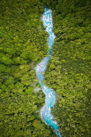 Whispers of the Forest River 🌲💧