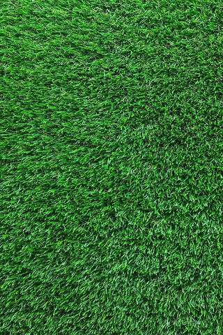 Lush Green Oasis 🌿