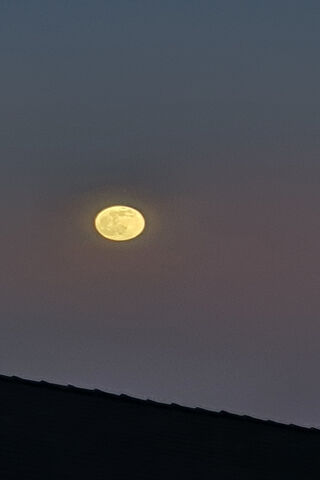 Golden Glow of the Harvest Moon 🌕✨