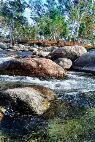 Serenity by the Himachal River 🌊🏞️