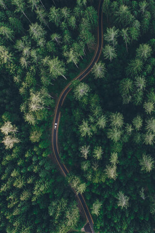 Winding Through the Wilderness 🌲🚗