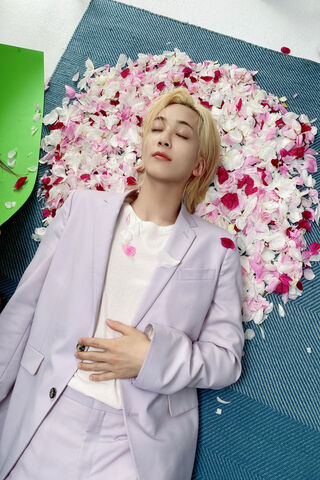 Serenity in Bloom 🌸✨